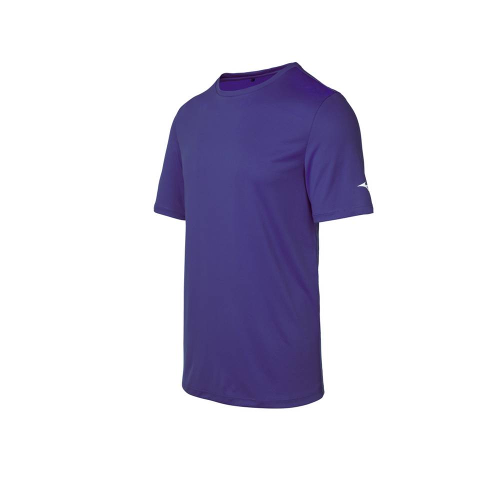 Camisetas Mizuno Hombre Moradas Baratas LXTO-17593